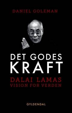 Det godes kraft : Dalai Lamas vision for en bedre verden