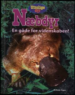 Næbdyr : en gåde for videnskaben!