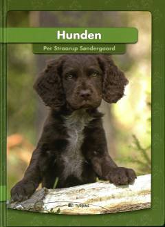 Hunden