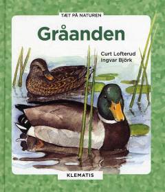 Gråanden