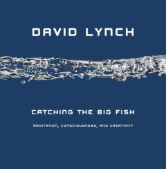 Catching the big fish : meditation, consciousness, and creativity