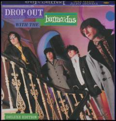 Drop out with The Barracudas