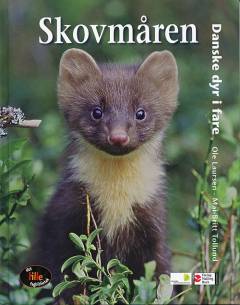 Skovmåren