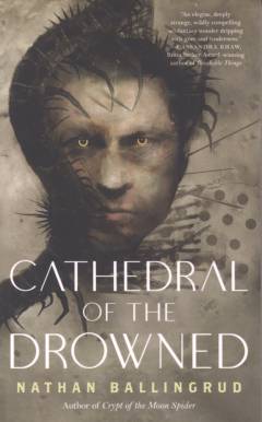 Cathedral of the drowned