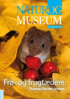 Frø- og frugtædere