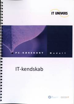 IT kendskab