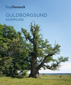 Trap Danmark - Guldborgsund Kommune