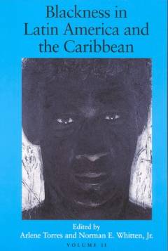 Blackness in Latin America and the Carribbean : social dynamics and cultural transformations