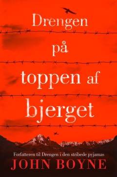 Drengen på toppen af bjerget