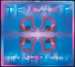 The mosaic of transformation