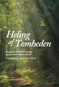Heling af tomheden : en guide til følelsesmæssigt og spirituelt velbefindende