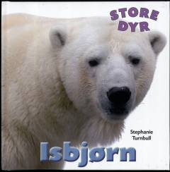 Isbjørn