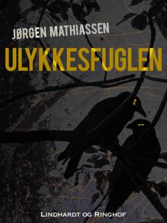 Ulykkesfuglen
