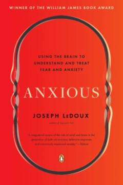 Anxious : using the brain to understand and treat fear and anxiety