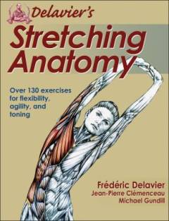 Delavier's stretching anatomy