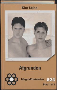Afgrunden. Bind 1 (Stor skrift)