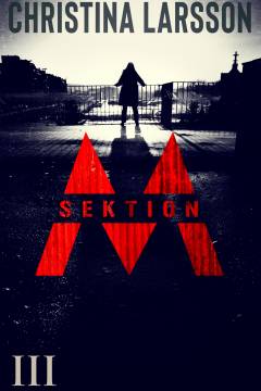 Sektion M. 3