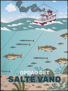 Opdag det salte vand
