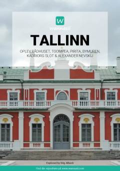Tallinn : oplev rådhuset, Toompea, Pirita, bymuren, Kadriorg Slot & Alexander Nevskij