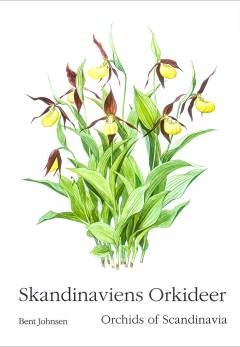 Skandinaviens orkideer