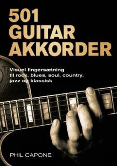 501 guitarakkorder : visuel fingersætning til rock, blues, soul, country, jazz og klassisk