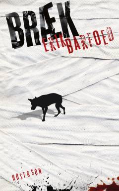 Bog, 1. udgave, 2011