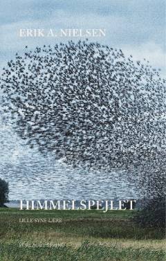 Himmelspejlet : lille syns-lære