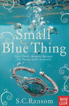 Small blue thing