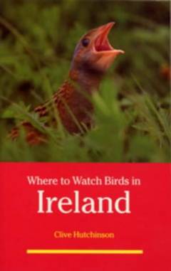 Where to watch birds in Ireland