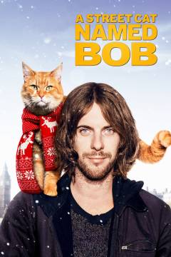 A street cat named Bob