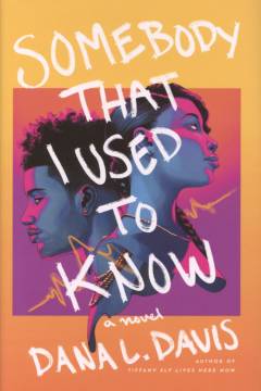 Somebody that I used to know : a novel