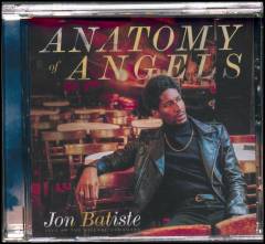 Anatomy of angels : live at the Village Vanguard