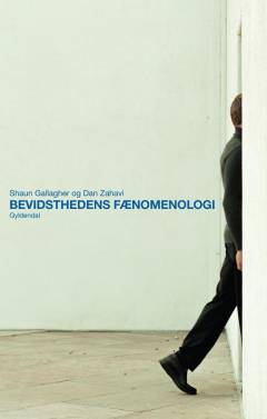 Bevidsthedens fænomenologi : en indføring i bevidsthedsfilosofi og kognitionsforskning