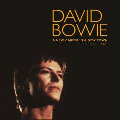A new career in a new town (1977-1982)