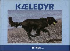 Kæledyr