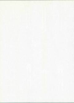 Yoko Ono - golden ladders : a voice of a woman