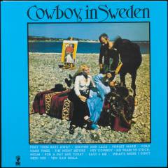 Cowboy in Sweden