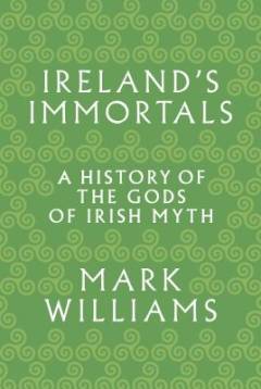 Ireland's immortals : a history of the gods of Irish myth