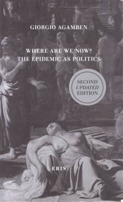 Where are we now? : the epidemic as politics