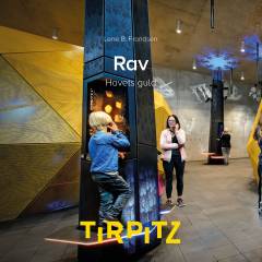 Rav : havets guld