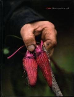 SuRi mellem himmel og bord