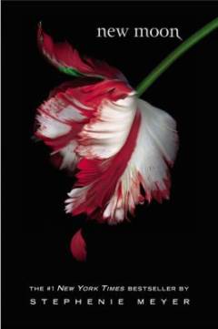 Bog, Little, Brown, 2008