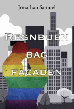 Regnbuen bag facaden