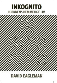 Inkognito : hjernens hemmelige liv