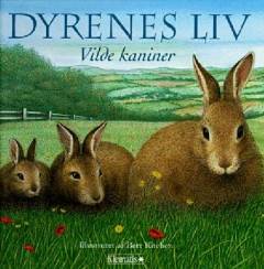 Dyrenes liv - vilde kaniner