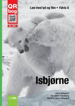 Isbjørne