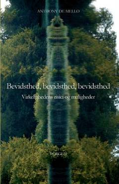 Bevidsthed, bevidsthed, bevidsthed : virkelighedens risici og muligheder