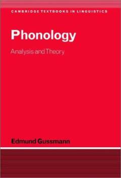 Phonology : analysis and theory