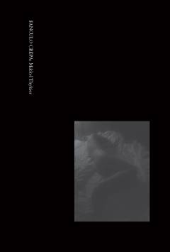 Fanculo crepa: Mikkel Thykier : essays, poesi