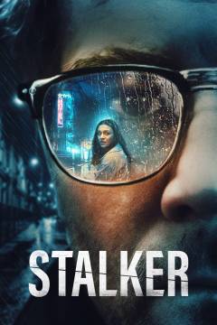 Film (dvd), Remastered og nyrestaureret version, 2008